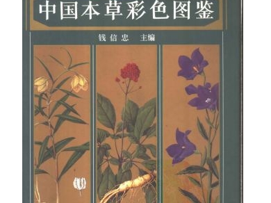 《中国本草彩色图鉴（常用中药篇）》-我爱阅读