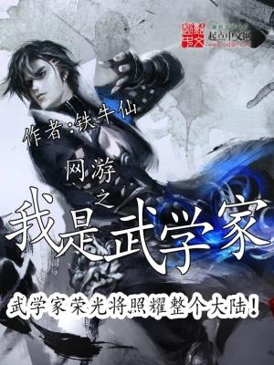 《网游之我是武学家》【精校】作者：铁牛仙-我爱阅读