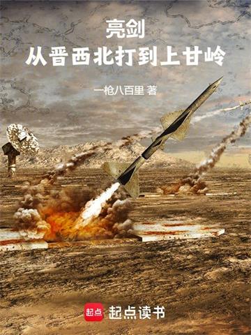 《亮剑：从晋西北打到上甘岭》【全本】一枪八百里-我爱阅读