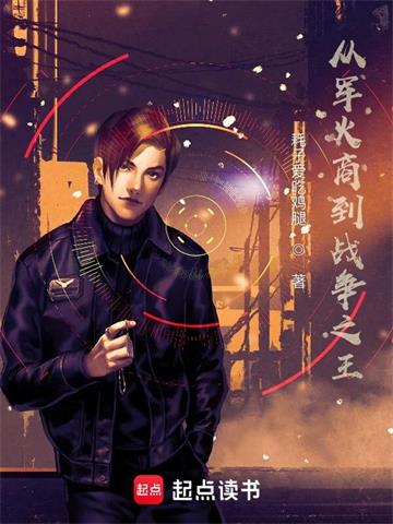《从军火商到战争之王》【全本】耗子爱吃鸡腿 - 我爱阅读-我爱阅读
