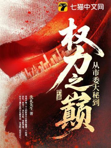 《从市委大秘到权力之巅》连载 (1-1130章) 洗礼先生 - 我爱阅读-我爱阅读