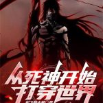 《从死神开始打穿综漫无限》【全本】起飞的大象-爱阅读