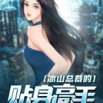 《冰山总裁的贴身高手》【全本】戏语涵风-爱阅读