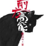 《前方高能》【全本】莞尔wr-爱阅读