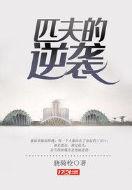 《匹夫的逆袭》【全本】骁骑校 - 我爱阅读-我爱阅读