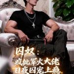 《囚奴：疯批军火大佬日夜囚宠上瘾》连载 (1-361章) 慕晨阳-爱阅读