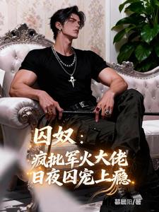 《囚奴：疯批军火大佬日夜囚宠上瘾》连载 (1-361章) 慕晨阳 - 我爱阅读-我爱阅读