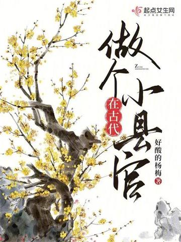 《在古代做个小县官》连载 (1-856章) 好酸的杨梅 - 我爱阅读-我爱阅读