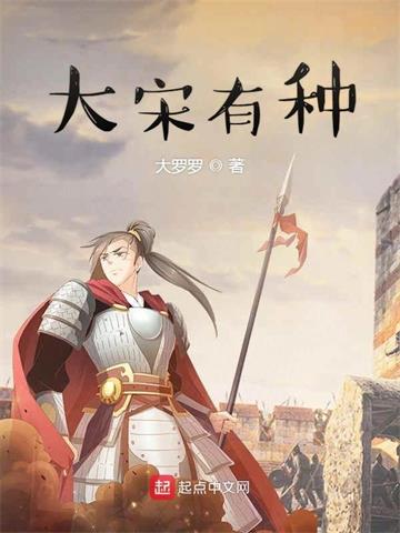 《大宋有种》【全本】大罗罗 - 我爱阅读-我爱阅读