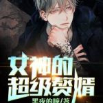 《女神的超级赘婿》【全本】黑夜的瞳-爱阅读