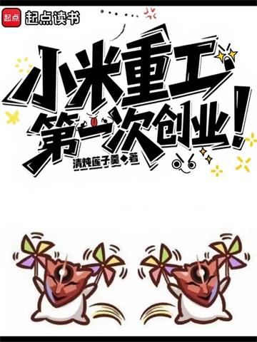 《小米重工，第一次创业！》连载 (1-936章) 清炖莲子羹 - 我爱阅读-我爱阅读