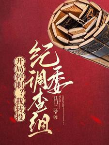 《开局停职？我转投市纪委调查组》连载 (1-2798章) 江门二爷-我爱阅读