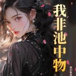 《我非池中物》【全本】夜泊秦淮-我爱阅读
