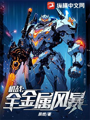 《机战：全金属风暴》【全本】辰燃 - 我爱阅读-我爱阅读