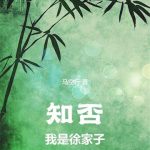 《知否：我是徐家子》连载 (1-1044章) 马空行-爱阅读