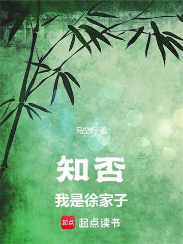 《知否：我是徐家子》连载 (1-1044章) 马空行 - 我爱阅读-我爱阅读