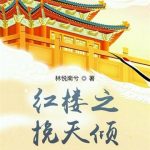 《红楼之挽天倾》【全本】林悦南兮-爱阅读