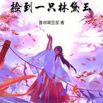 《红楼：捡到一只林黛玉》【全本】喜欢喝豆浆-爱阅读