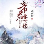 《至尊神医之帝君要下嫁》【全本】战西野-爱阅读
