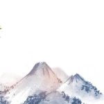 《苟在修仙界的远古巨熊》【全本】懒鸟-爱阅读