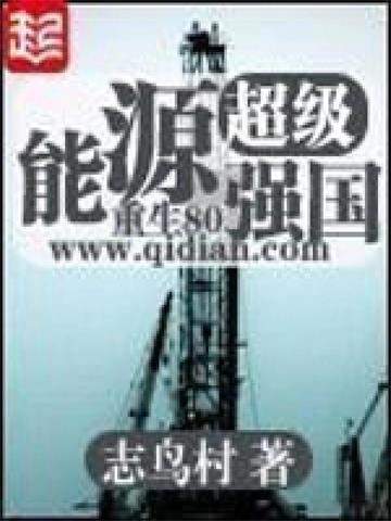 《超级能源强国》【全本】志鸟村 - 我爱阅读-我爱阅读
