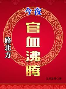 《路北方，今夜官血沸腾》连载 (1-2476章) 江湖望哥-我爱阅读