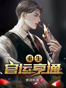《重生：官运亨通》【全本】弹剑听潮-我爱阅读