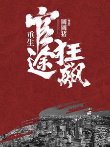 《重生：官途狂飙》【全本】圆圆猪-我爱阅读