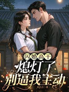 《闪婚高干：熄灯了，别逼我主动》连载 (1-617章) 青芸芸 - 我爱阅读-我爱阅读