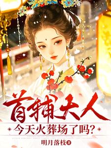 《首辅大人今天火葬场了吗？》【全本】明月落枝 - 我爱阅读-我爱阅读