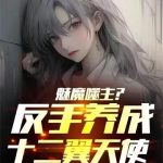 《魅魔噬主？反手养成十二翼天使！》【全本】嗒嘀嗒滴-爱阅读